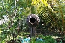 Sandies Bathala Maldives Bathala Island Exterior photo